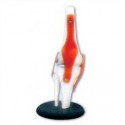 LIFE-SIZE FUNCTIONAL HUMAN KNEE JOINT